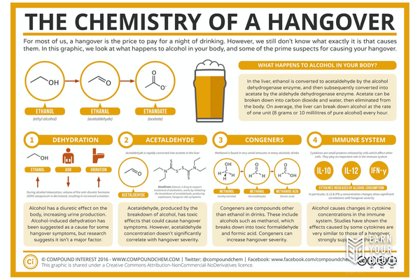 Image result for The Science Behind Getting Drunk: Understanding the Factors at Play infographics